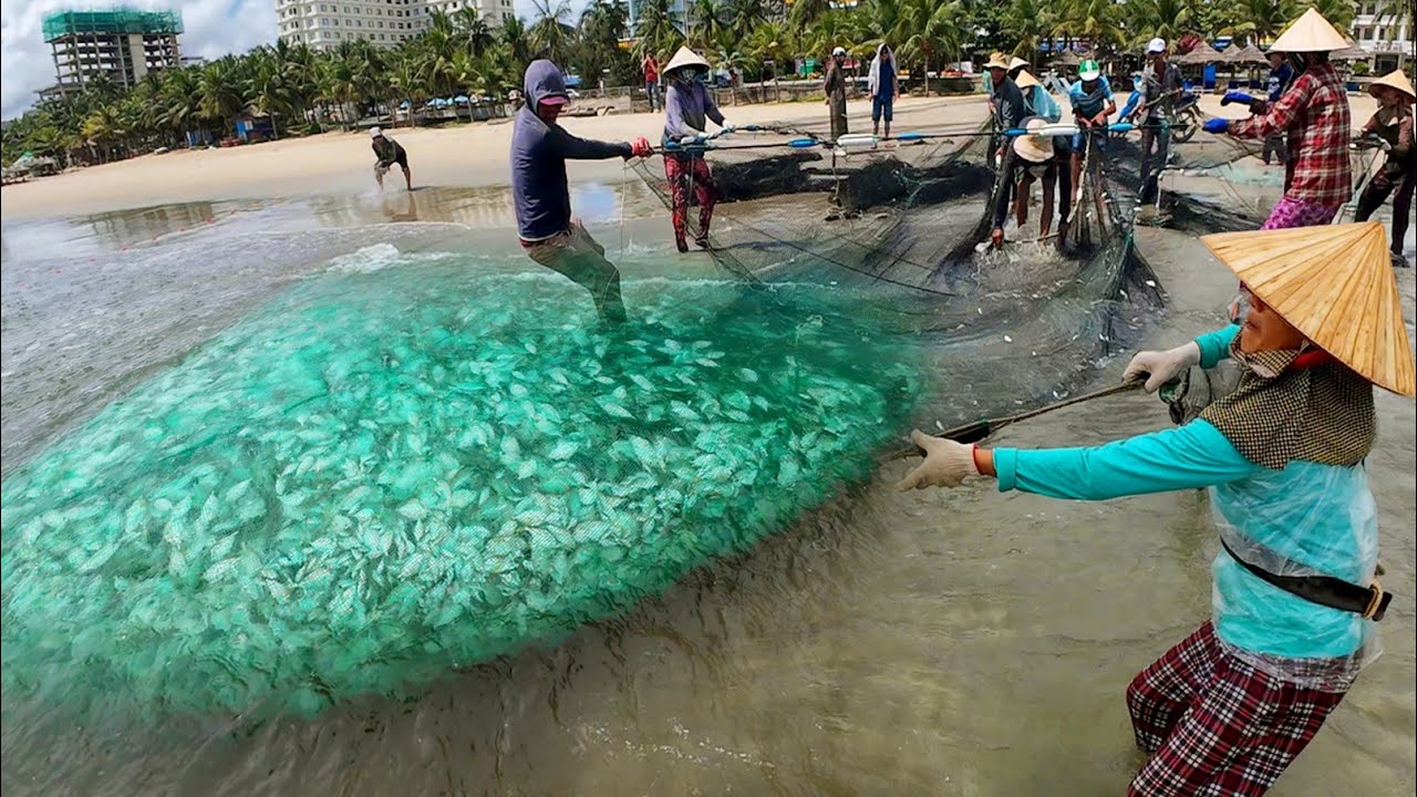 Mười Mấy Năm kéo lưới Cô Mười Chưa kéo Trượt Phát Nào || Tại Bãi Biển Mỹ Khê