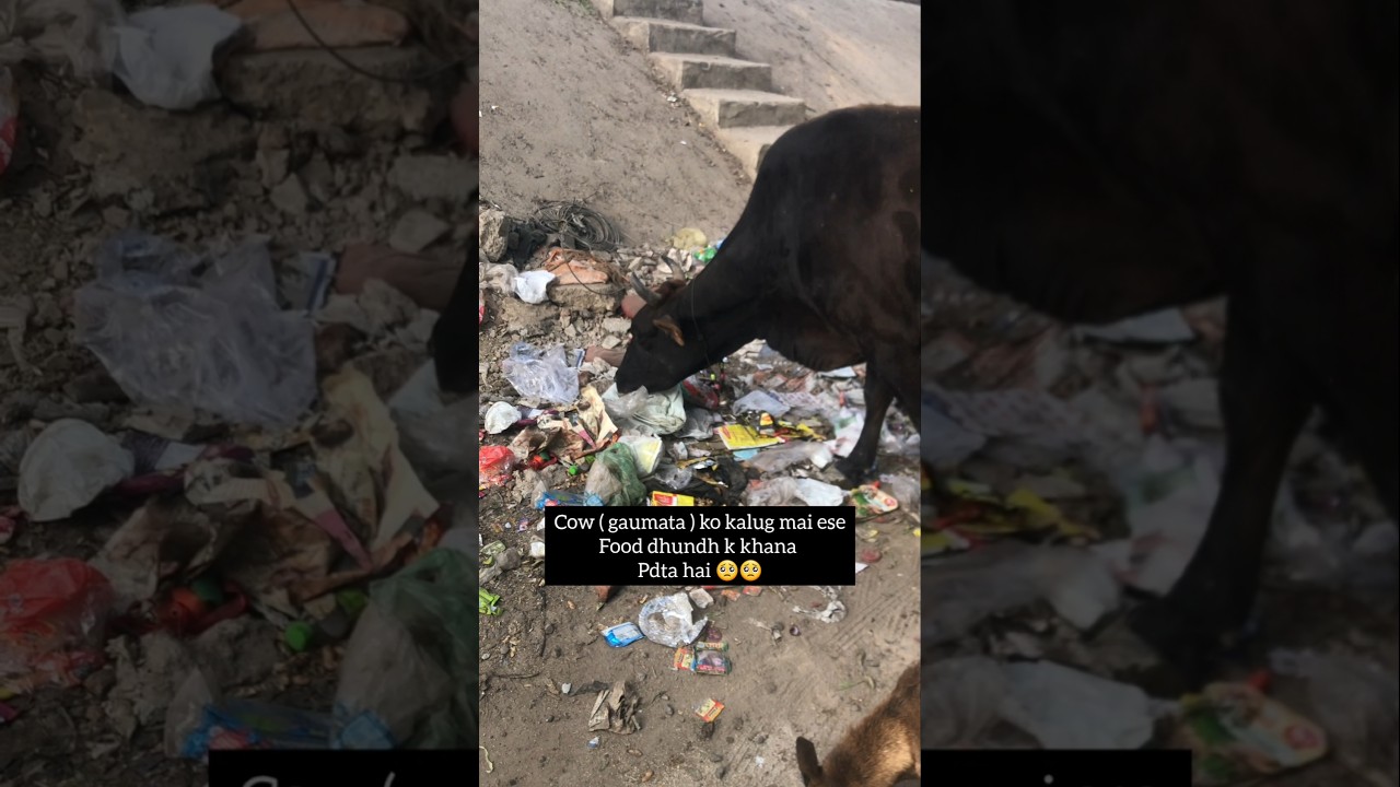 Support channel for Hungry nd suffering Souls 🥺 