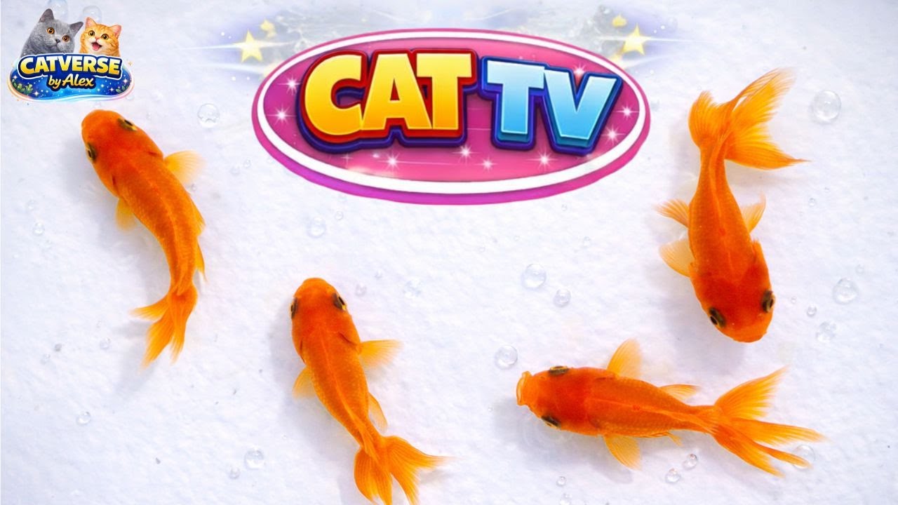 Amazing Goldfish |  Cat TV | Games for Cats to Watch – Fun Videos Cats Love | 3 Hours