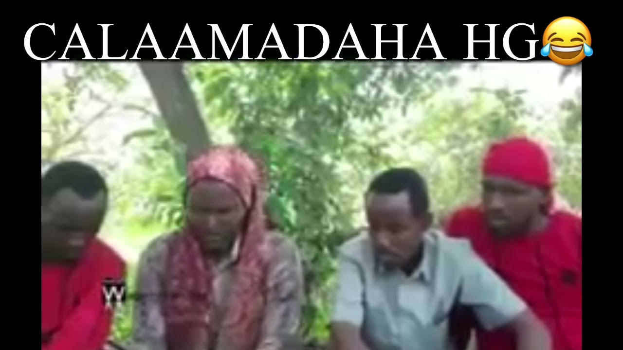 QOSOL TIME - CALAAMADAHA HABARGIDIR😂😂😂😂