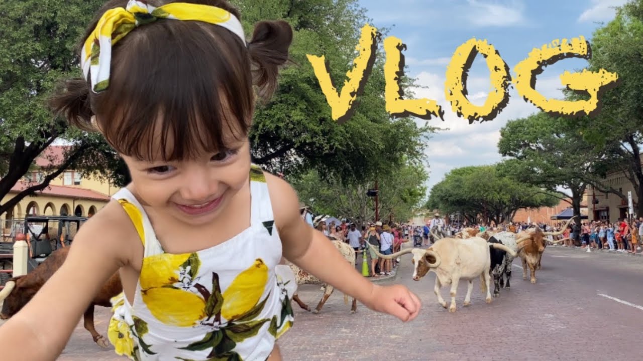 Какова была реакция Лайлы, когда она увидела гигантских коров? | Международный семейный видеоблог