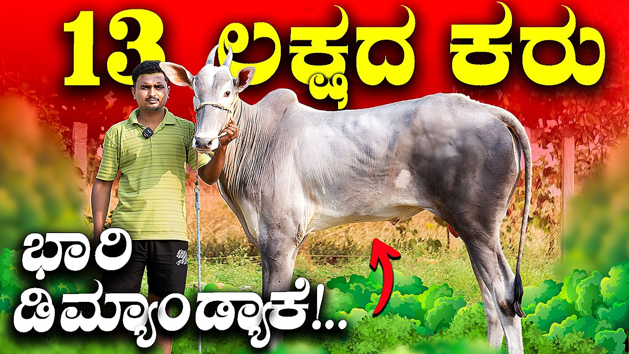 11 ತಿಂಗಳಿಗೆ ಎಂಥಾ ಕದರ್! 😱 