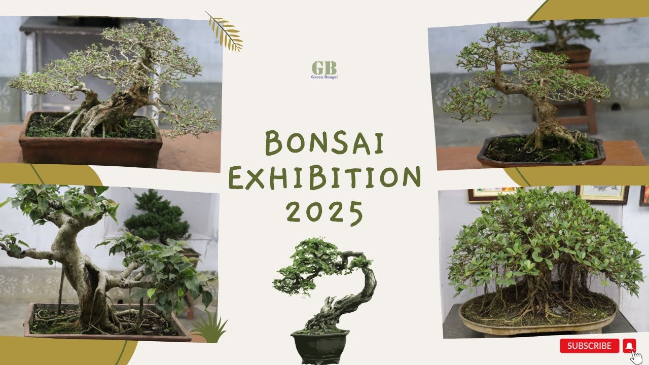 Bonsai Exhibition at Howrah India in 2025