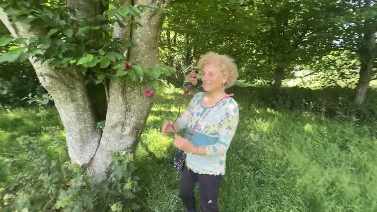 The healing power of nature. Seeing life through the lenses of Nature