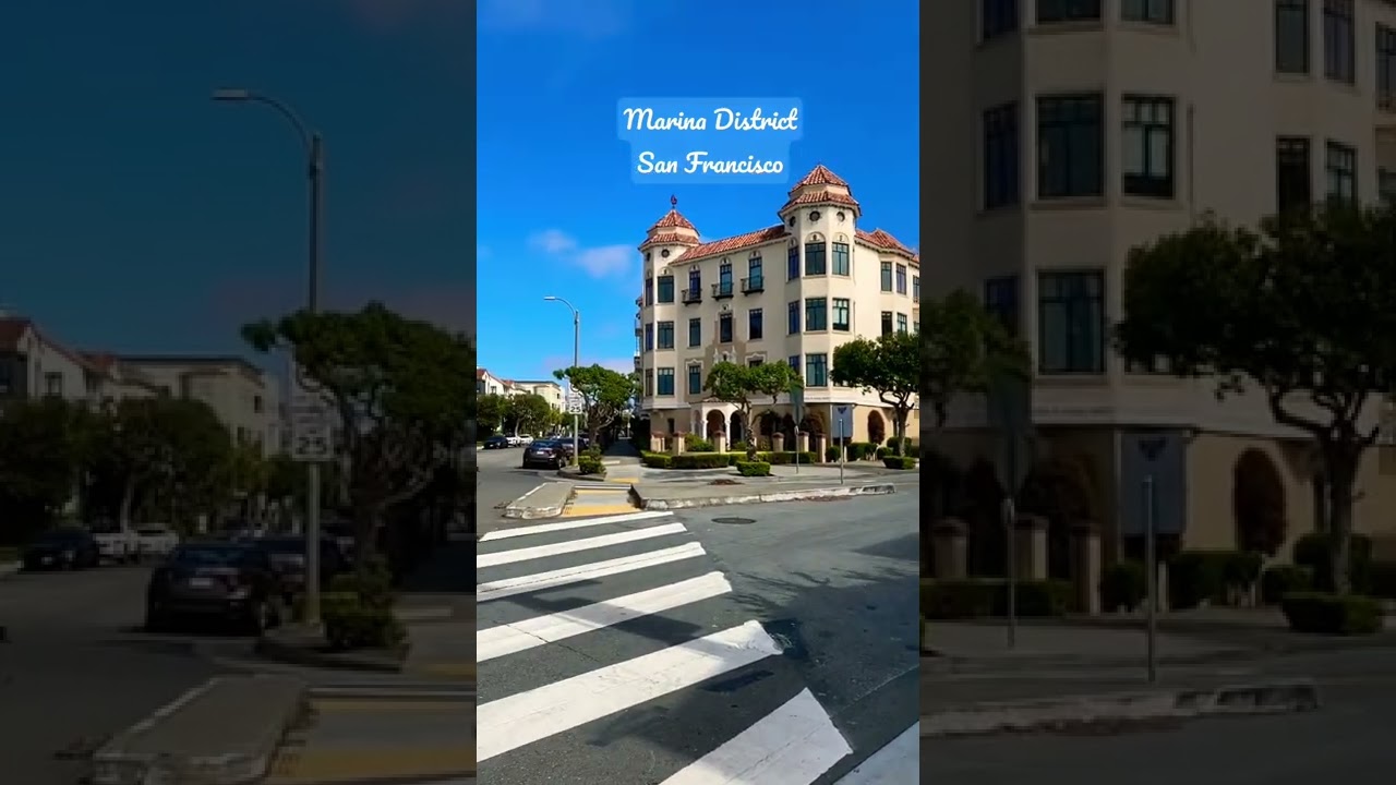 Marina district/ SF real life #shorts