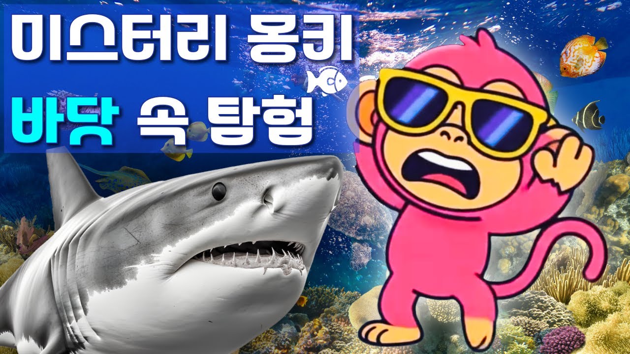 🐵💦 미스터리 몽키의 바다 탐험 🦈상어🐋고래🐠물고기 친구들과 춤춰요 🎶바다동요🎶키즈동요🎶아기상어🦈해파리 동요