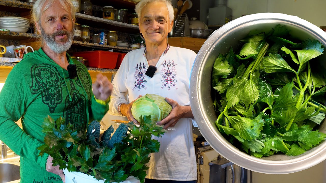 Potravinová soběstačnost : Jak a proč dělat zeleninový vývar? Recept z celeru, zelí a kapusty.