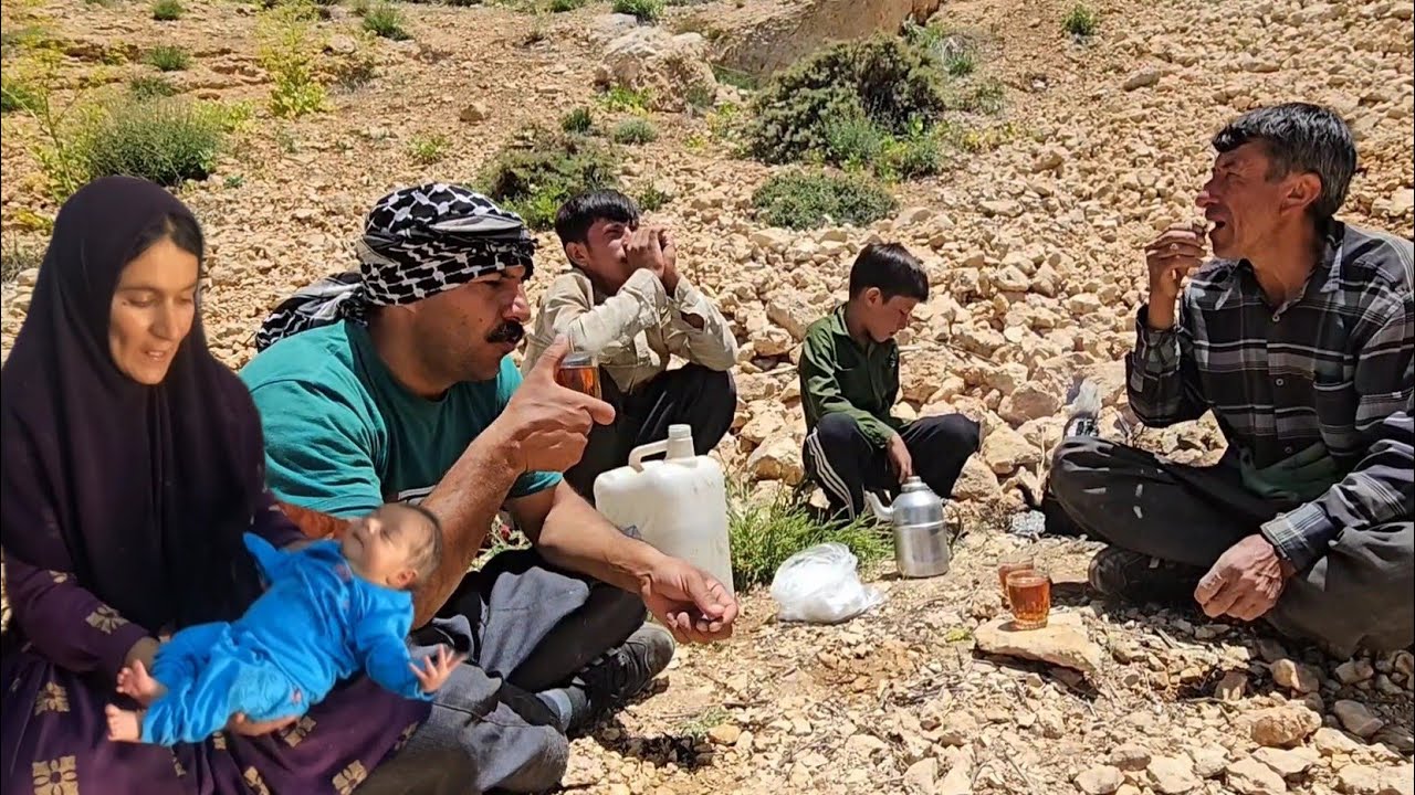 Nomadic life Shaban helps his friend  the highlands and collects mountain grass for the sheep winter