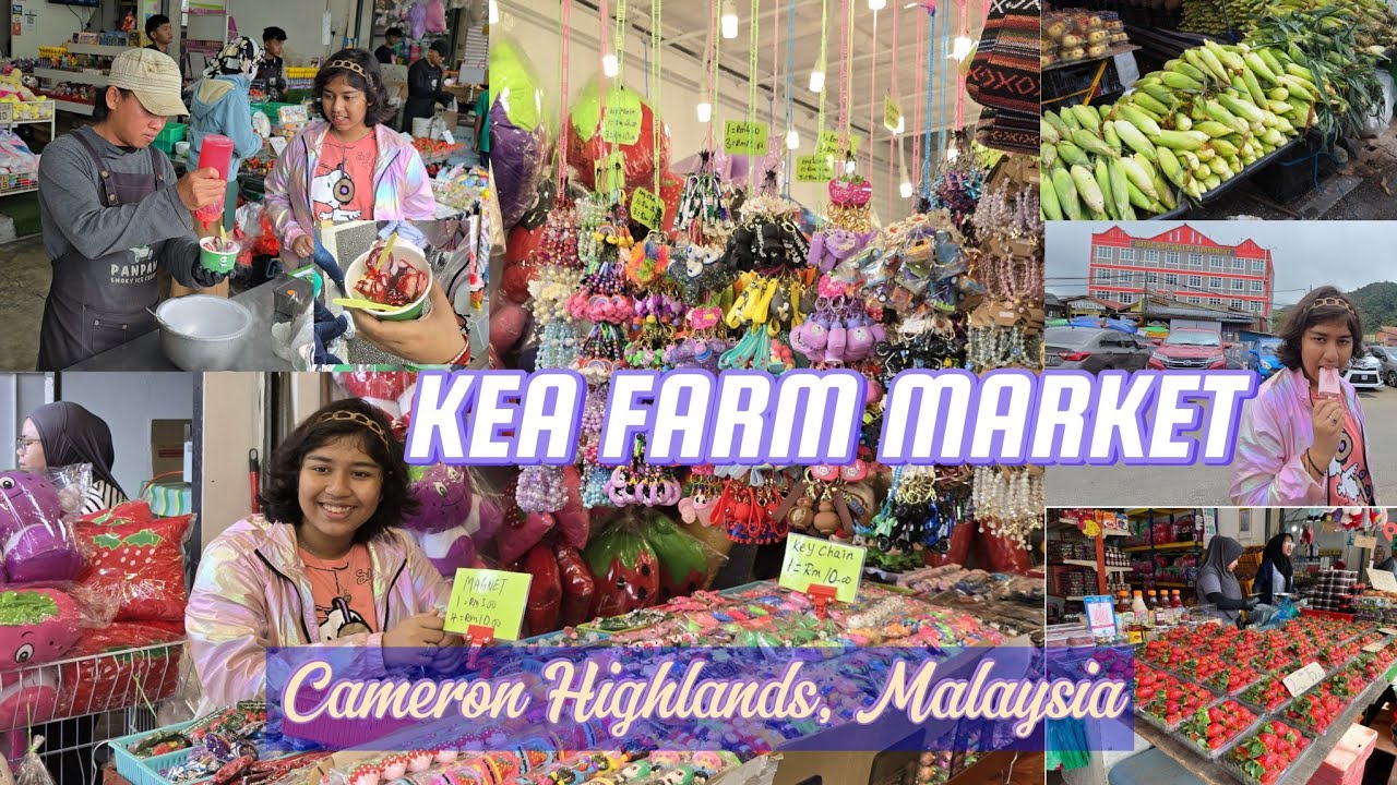 Kea Farm Market Near Copthorne Hotel | Cameron Highlands | Malaysia