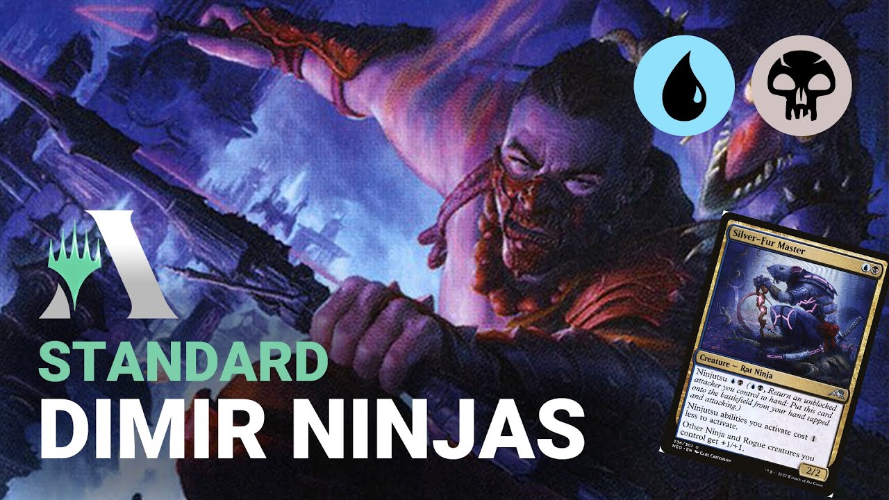 DIMIR NINJAS | La opción económica, original y más divertida | STANDARD