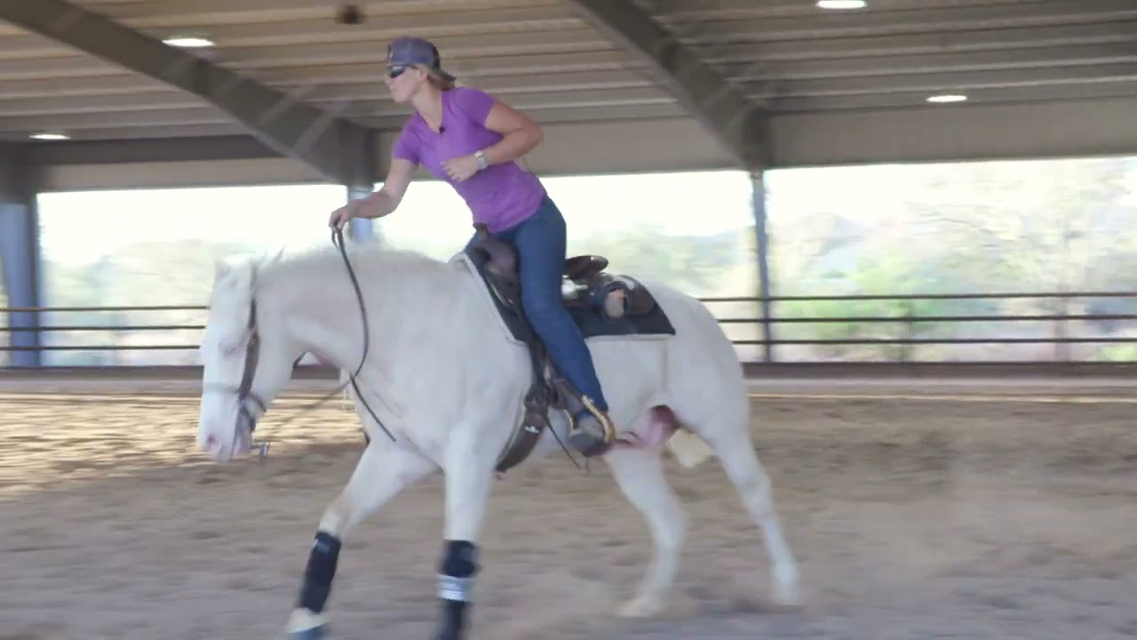 HOW TO IMPROVE YOUR HORSEBACK RIDING SKILLS