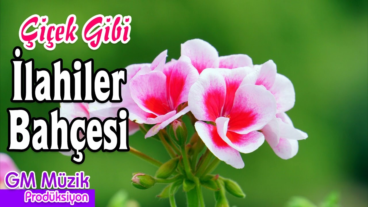 Çiçek Gibi İlahiler Bahçesi 💖 En Güzel İlahiler 💖 Karışık İlahiler #ilahi #ilahiler #keşfet