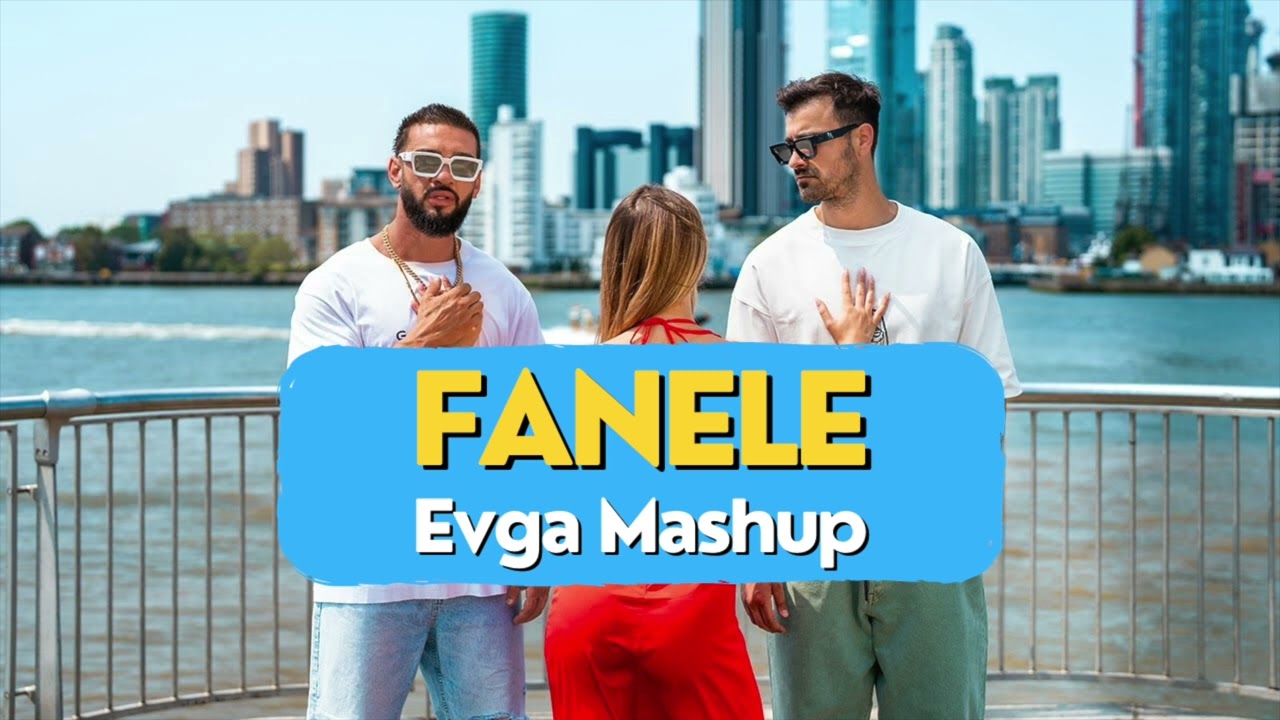 Liviu Teodorescu & Dorian Popa feat Laura Giurcanu - Fanele (Evga Mashup)