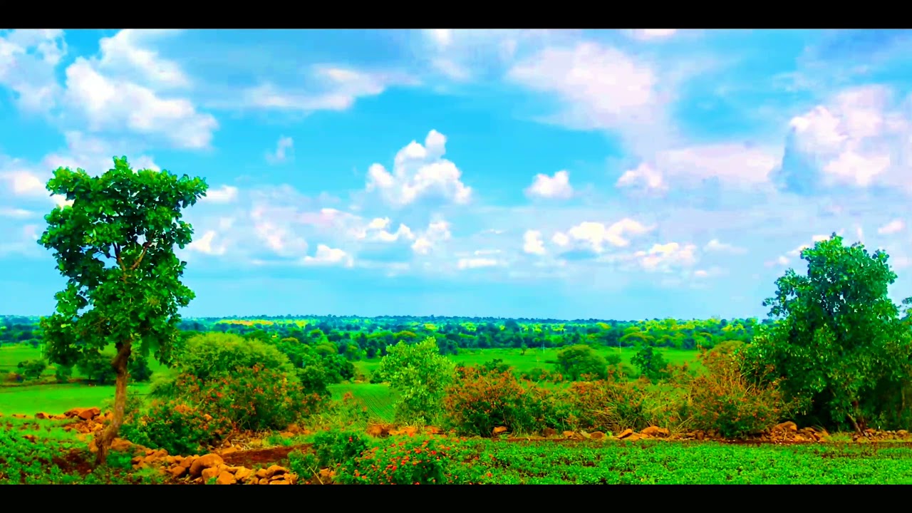 Nature View Cinematic Video Copyright free | Creative common | CC Licensed video￼ |