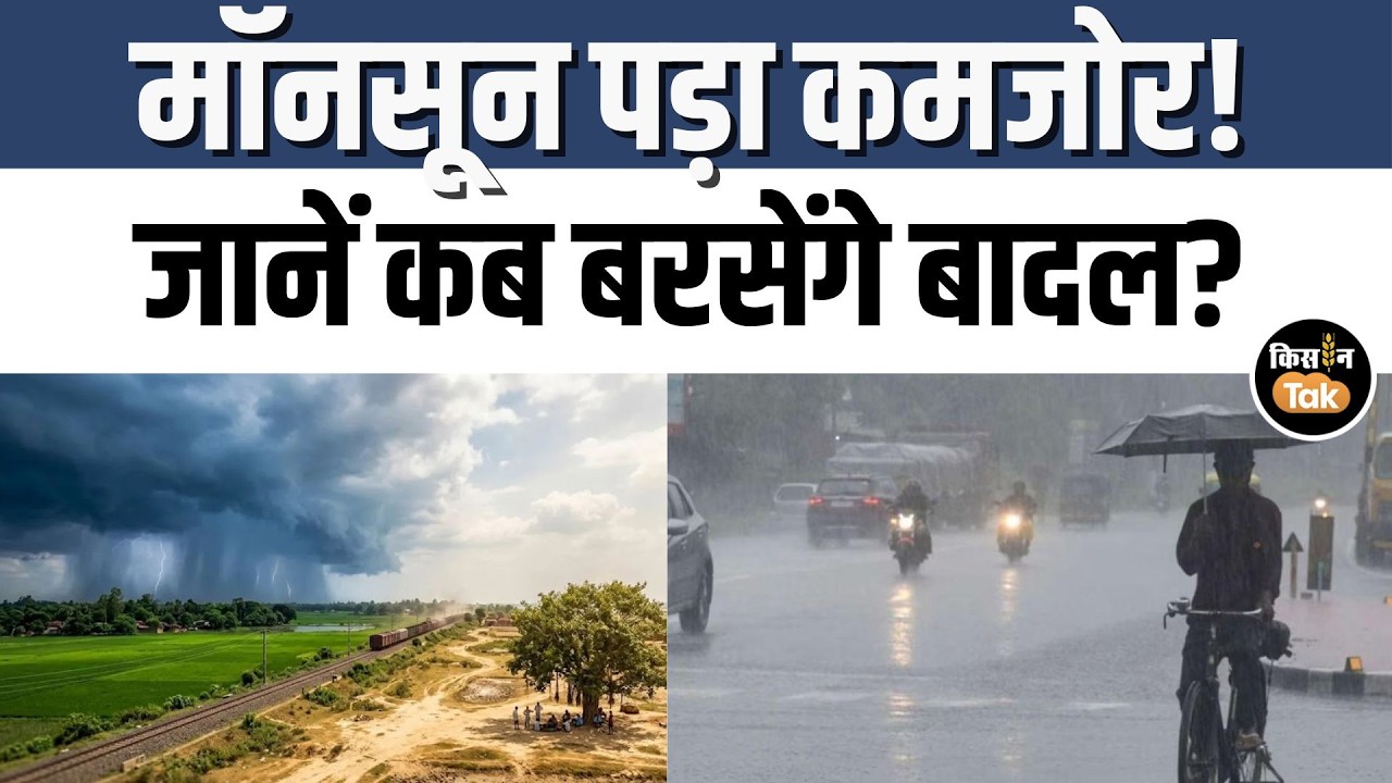 Monsoon Update 2026: Weather to Shift Starting June 23-24, Rain Expected in Several States Includ...