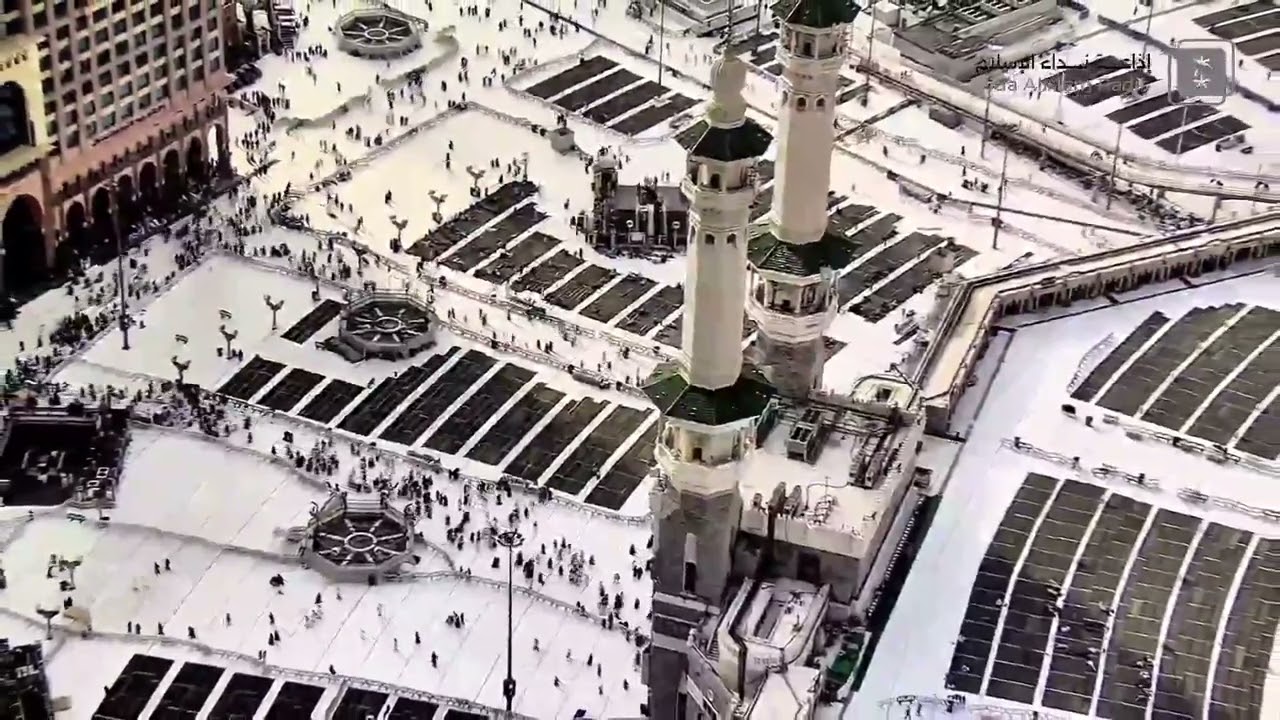 برنامج من ارض الحرمين يستضيف د. محمود شرف