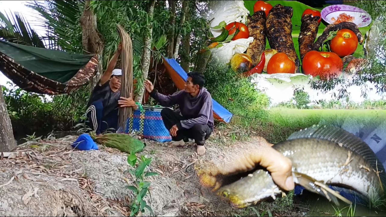 Tập 43 _ Dựng trại cắm câu đêm ll Cá Lóc đồng nướng trui món ngon cũa người dân quê