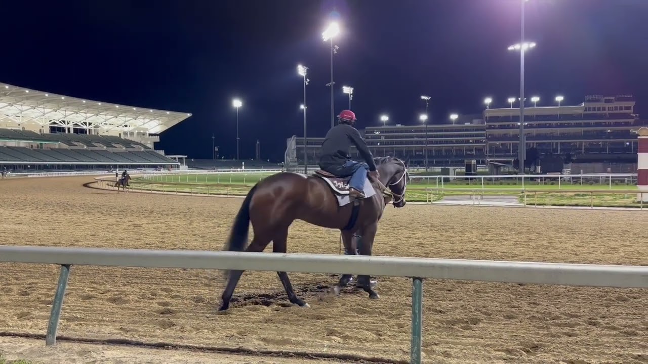 Wild On Ice red-hot in Kentucky Derby workout