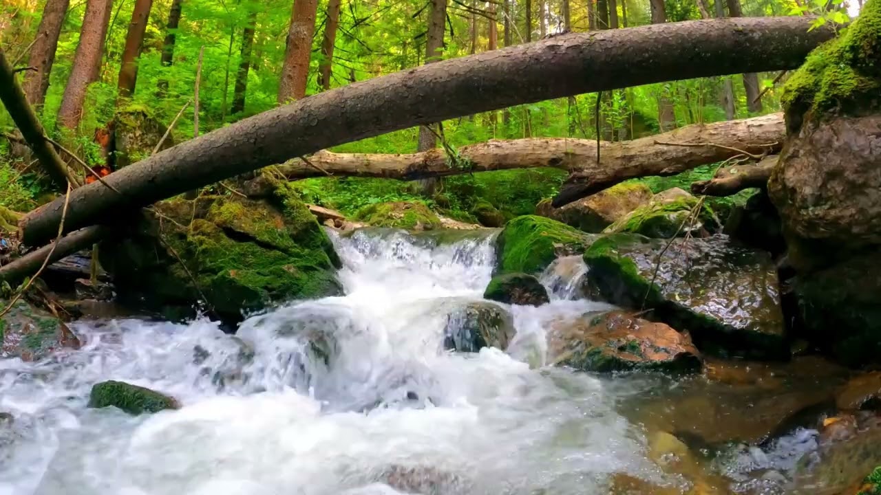 10 Hours of Calm River Water – Relaxing Nature ASMR for Sleep #asmr #asmrsounds #asmrvideo #river