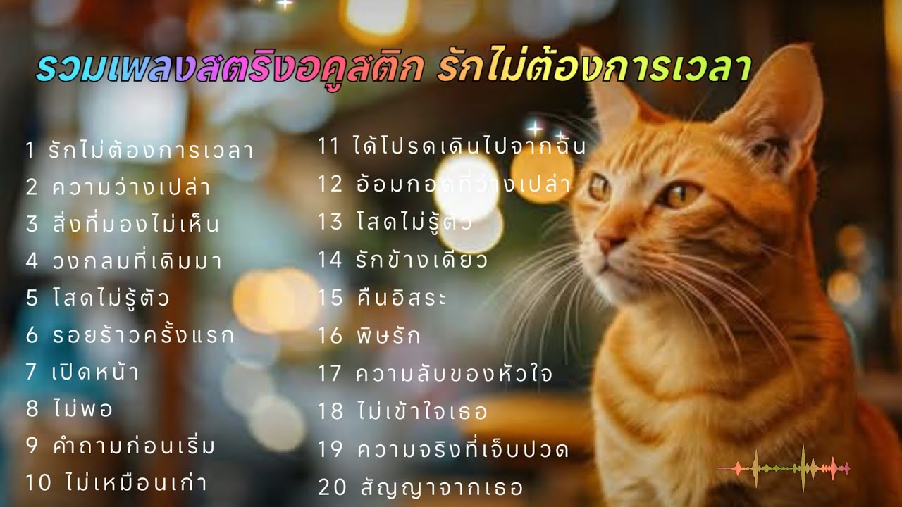 รวมเพลงสตริงอคูสติก รักไม่ต้องการเวลา 🪗🪗🪗
