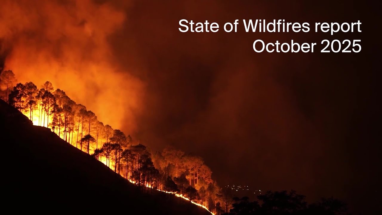 The State of Wildfires in 2024-25 - Doug Kelley explains 🔥