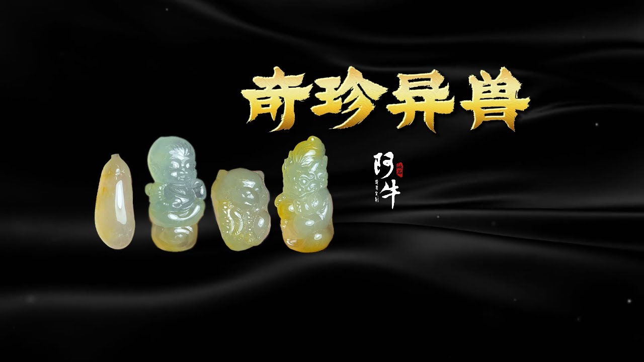 这些我看不懂的玩意竟如此受欢迎，真是服了 -【奇珍异兽】