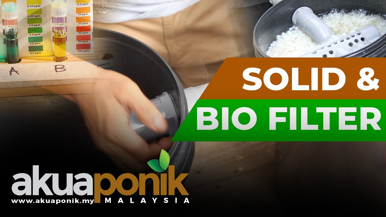 Akuaponik Gutter 03 | Solid Waste & Bio Filter Akuaponik Talapia