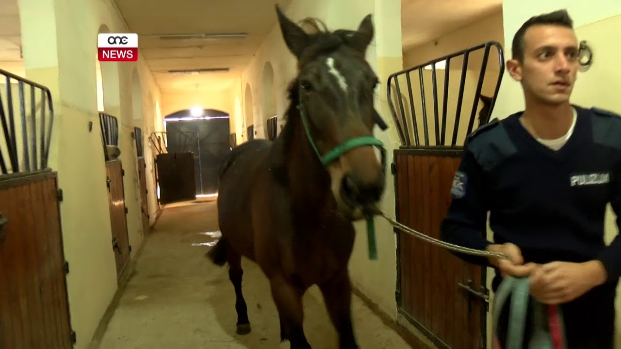 ĦADU SAĦĦITHOM FIL-KAVALLERIJA TAL-PULIZIJA