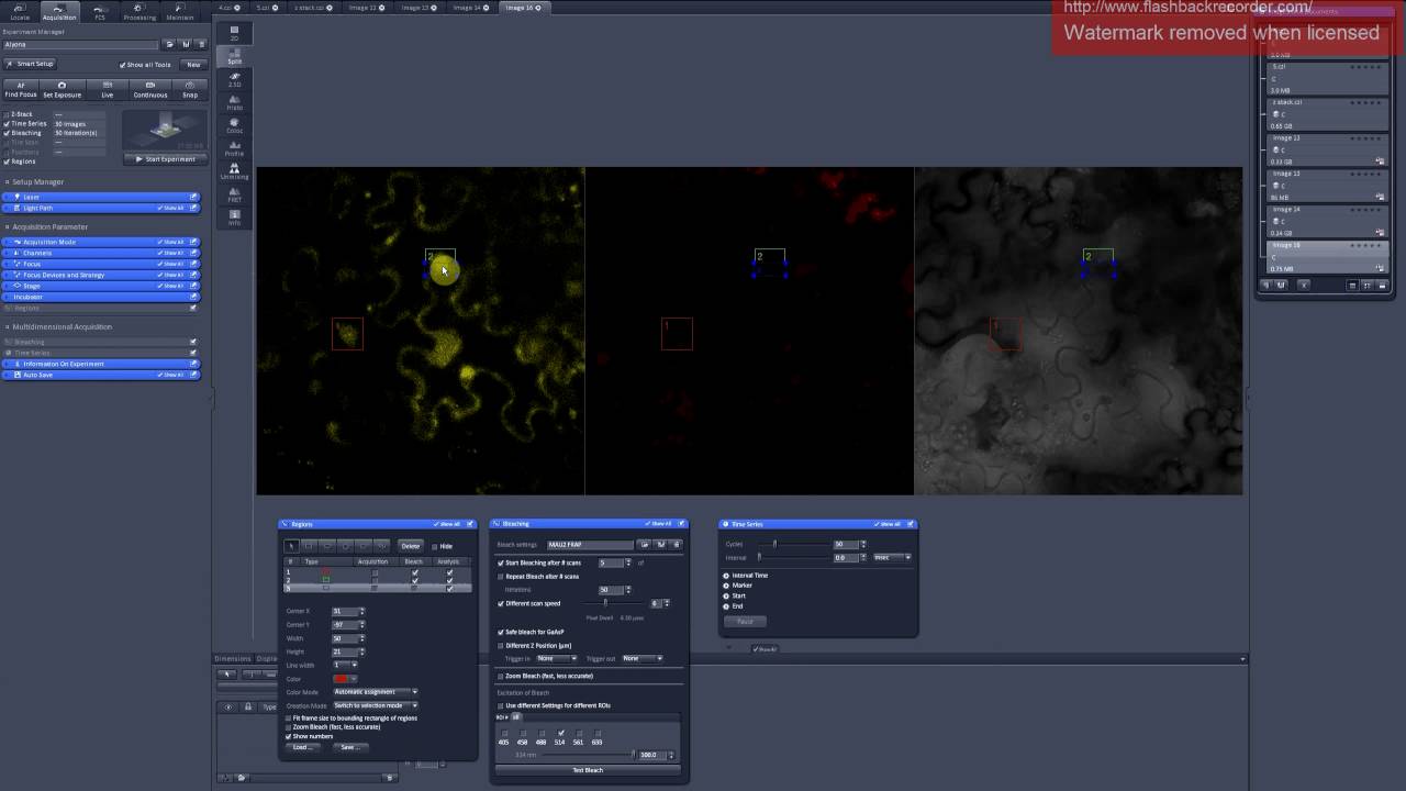 7. Photobleaching . Scanning parameters for FRAP