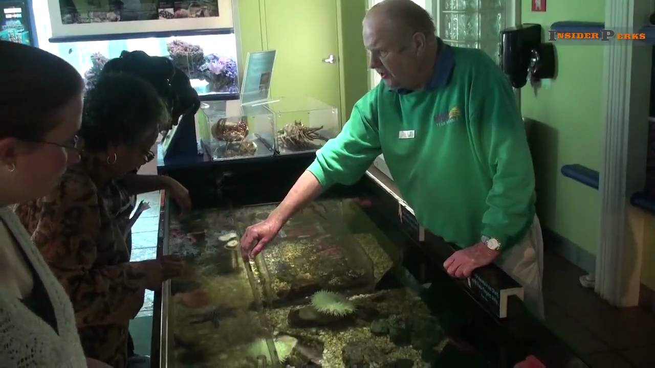The Florida Aquarium