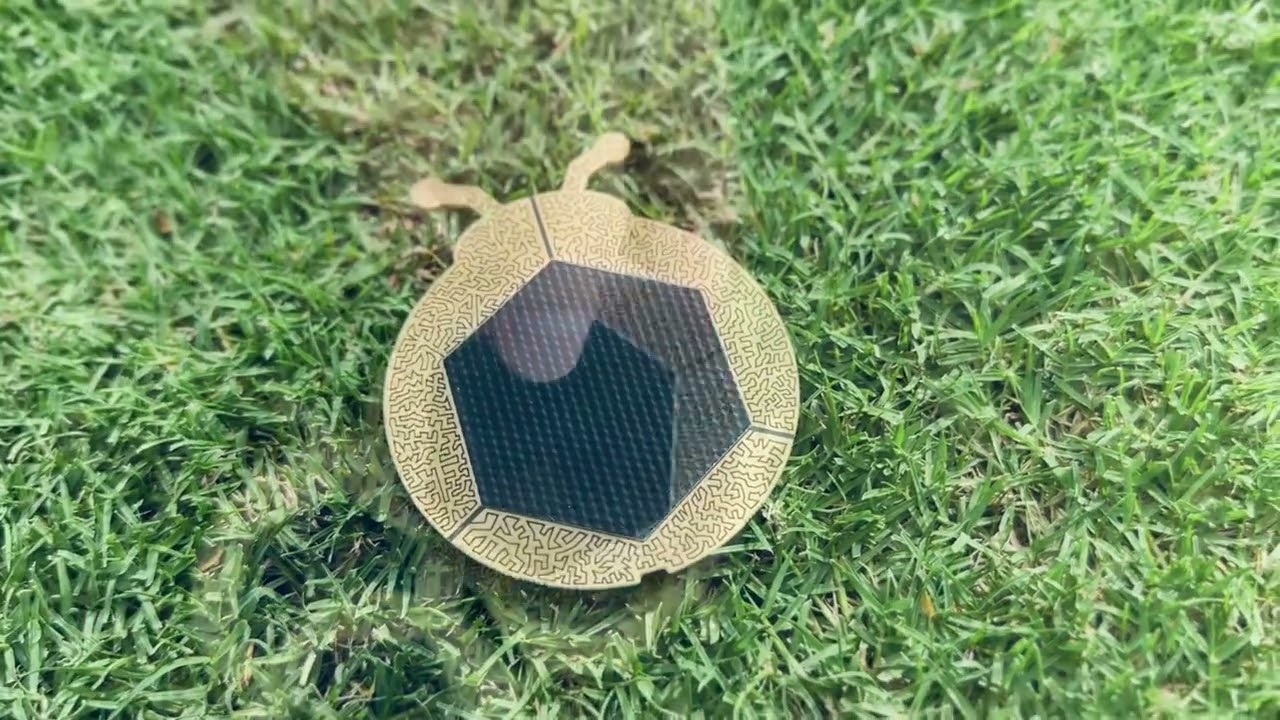 Meng Qi / Cricket