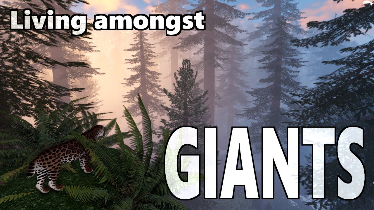 Highlands nomad challenge // Ecos: la brea