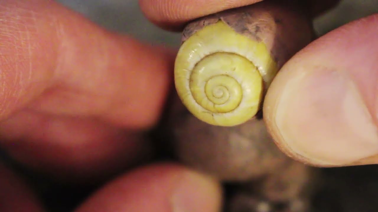 Stop-Motion Process: Tactile dream construction