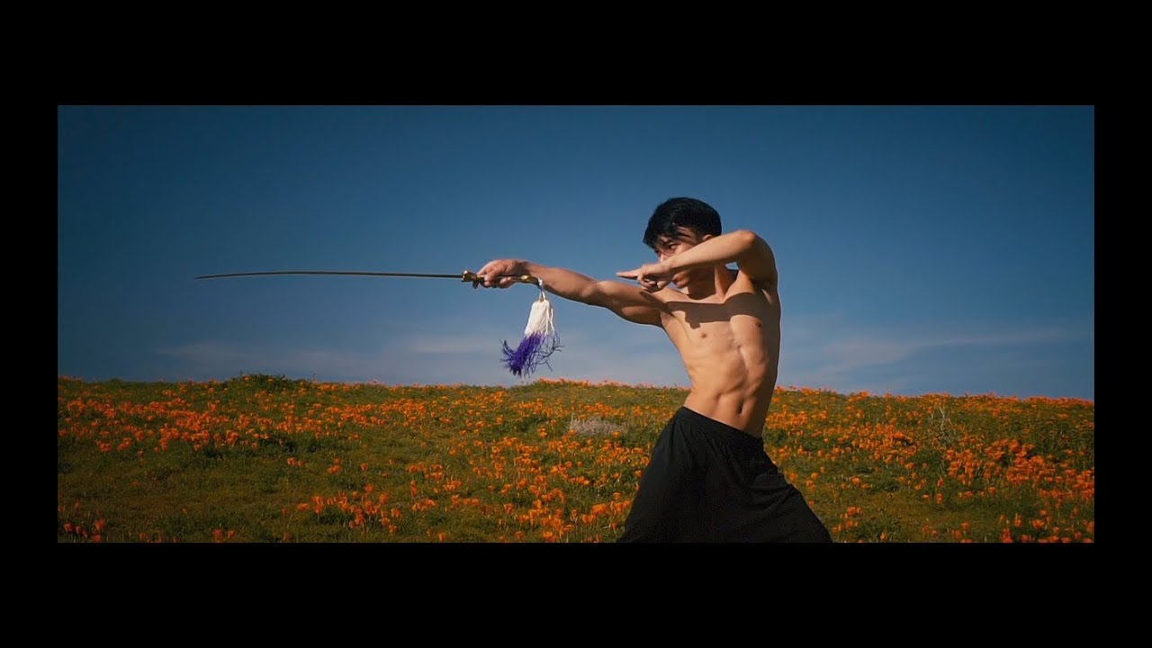 Nhut Le Stunt Reel Wushu
