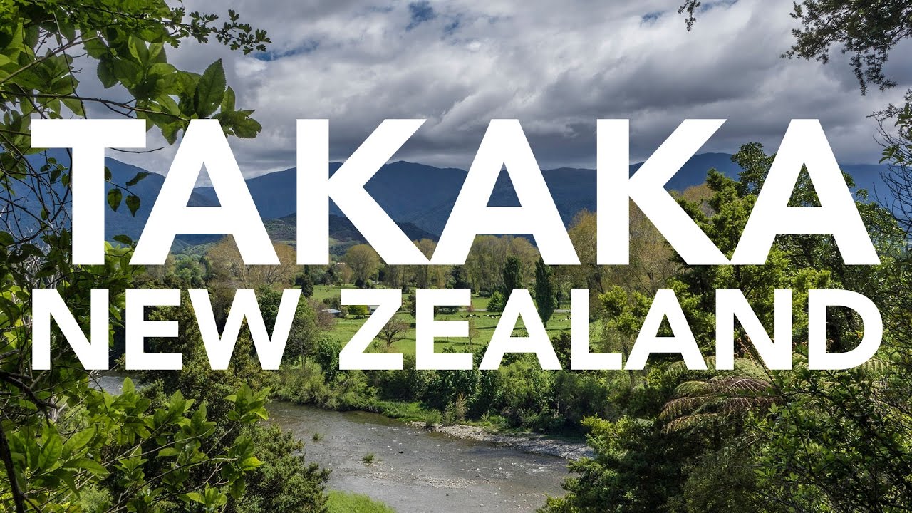 Climbing in Takaka, Golden Bay, New Zealand