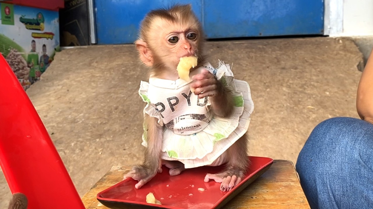 Surprise!! Mom is making fried banana cake for her little princess  LIORA