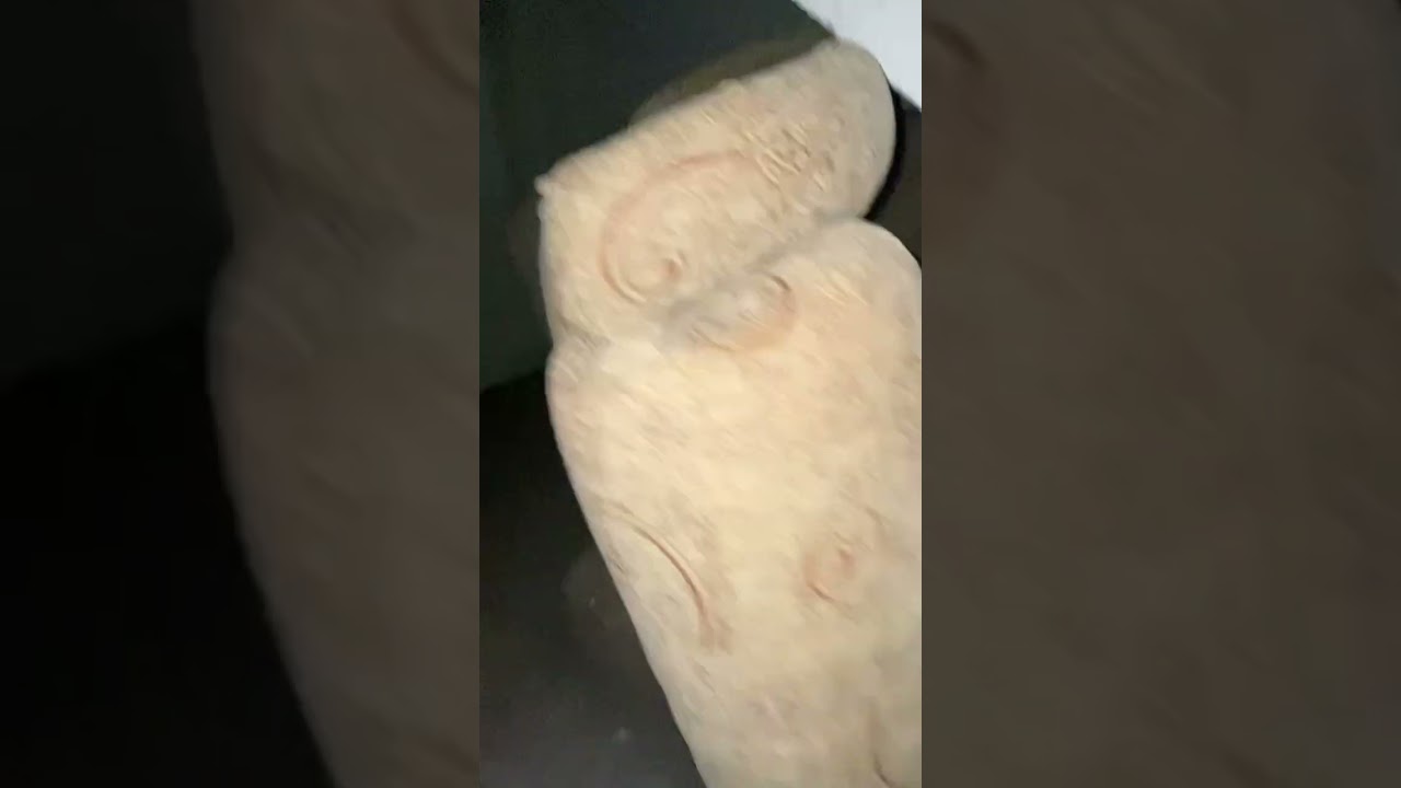 istrazujemo podrum (uskoro part2)