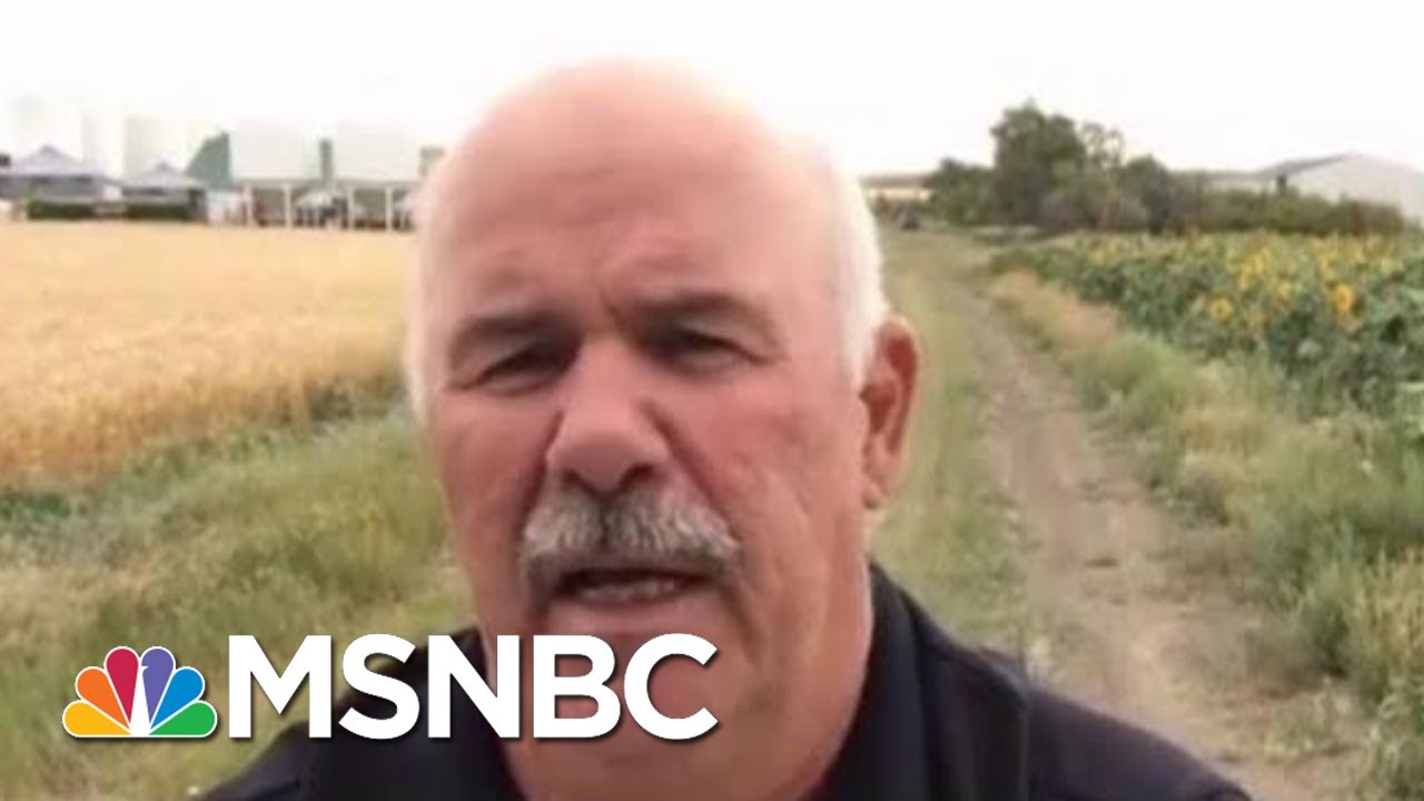 Farmers Rip Trump Trade: We Lost Everything Since He Took Over | The Beat With Ari Melber | MSNBC