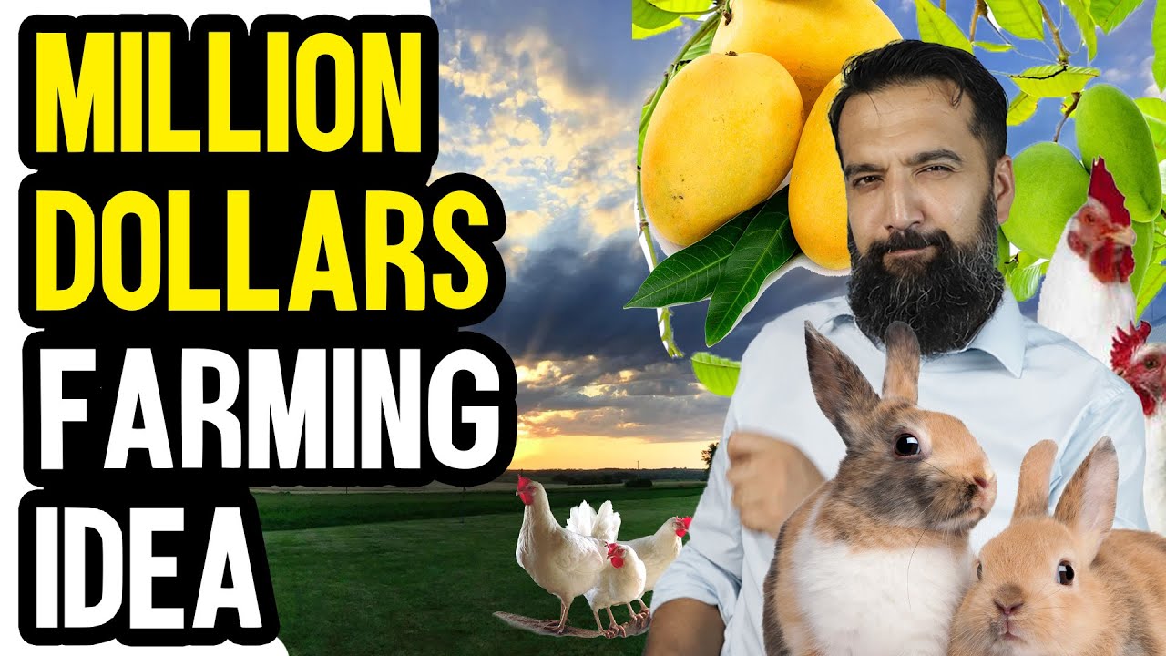 Million Dollars Farming Idea | Azad Chaiwala