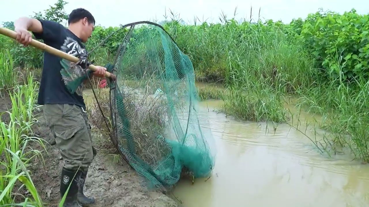 暴雨引发洪水，阿琪杠着大抄网去捞鱼，收获真棒真过瘾
