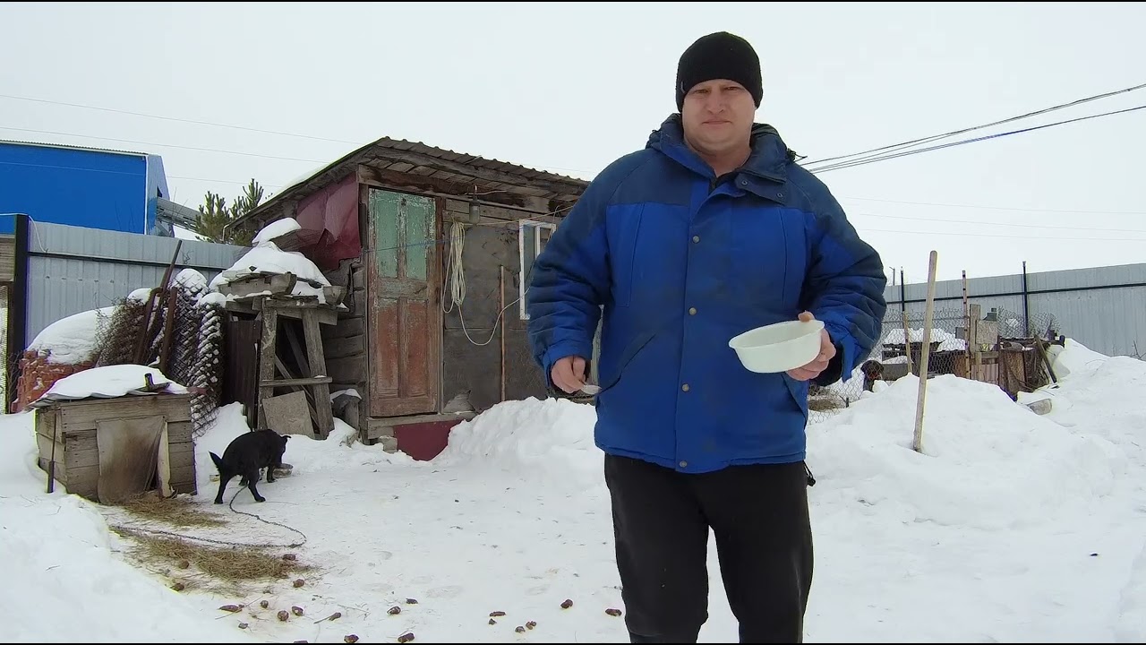 7 февраля 2026 г.
