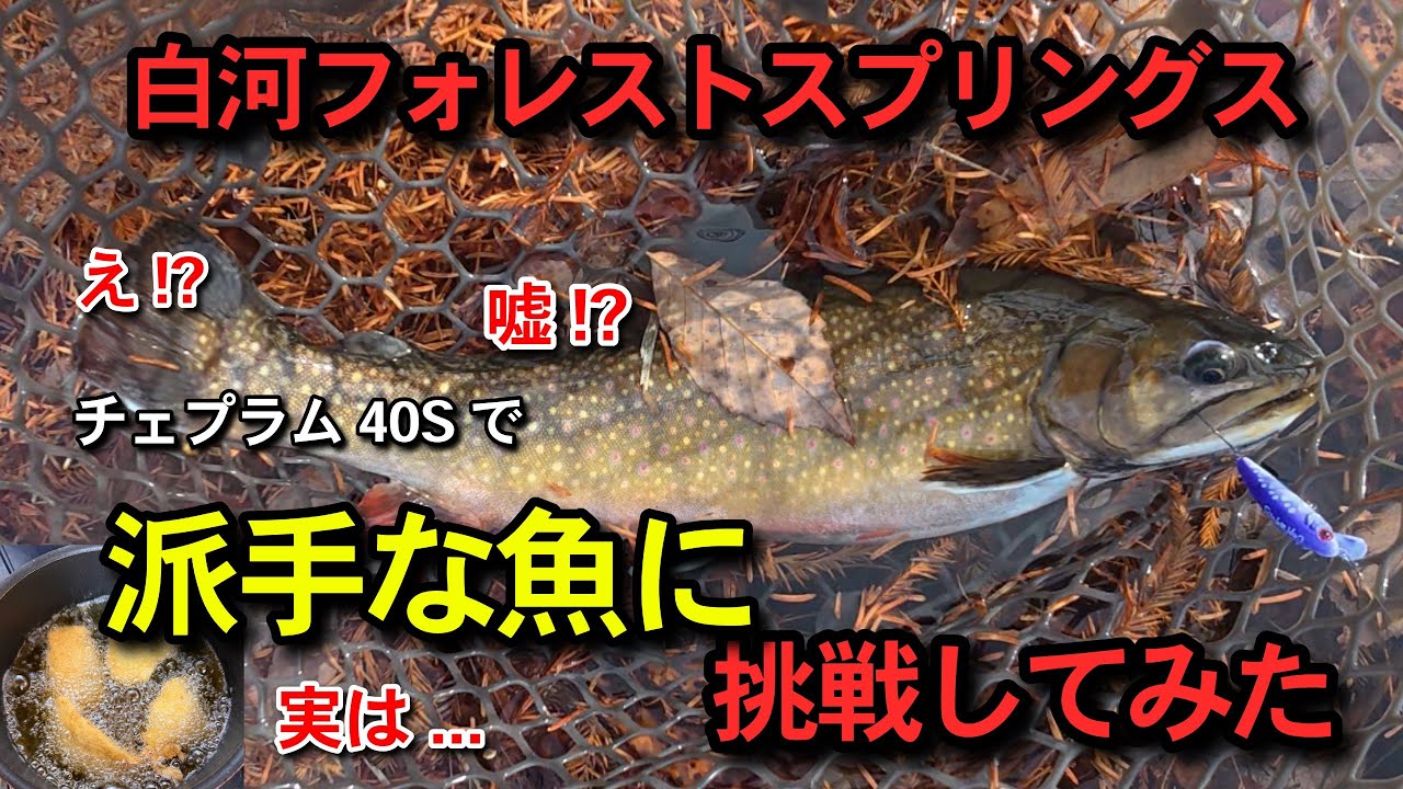 那須白河フォレストスプリングスの派手な魚に挑戦してみた（釣って食べる）part1釣り編