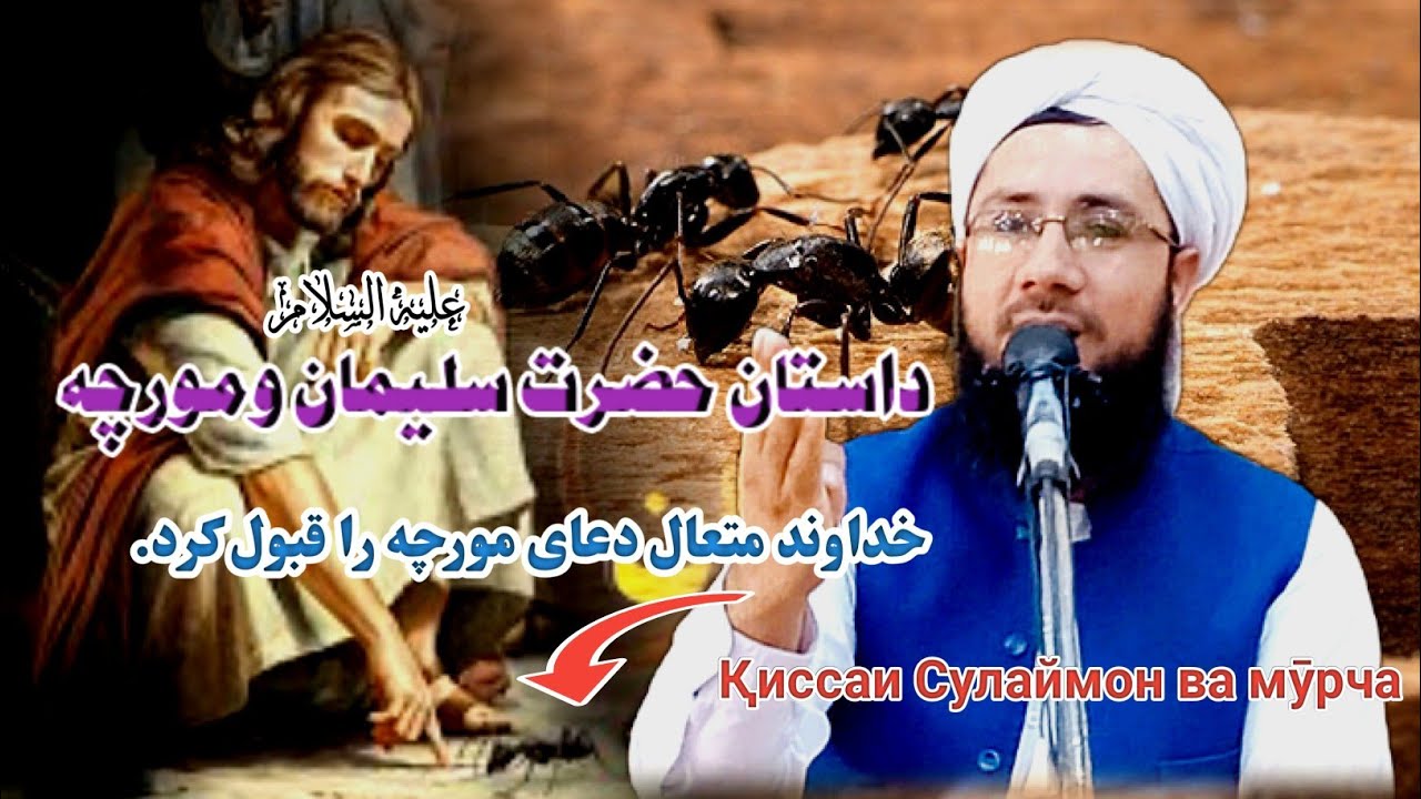 داستان حضرت سلیمان ع ومورچه 《 الله متعال دعای مورچه را قبول کرد 》