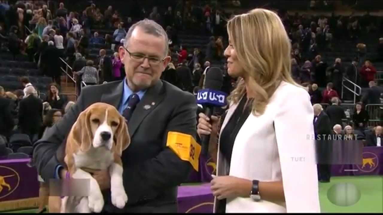 National Westminster Kennel Club 2015-Best-In-Show-Mrs. P