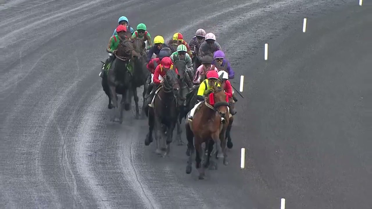 PRIX DE L'ILE-DE-FRANCE - CORNULIER RACES 2026