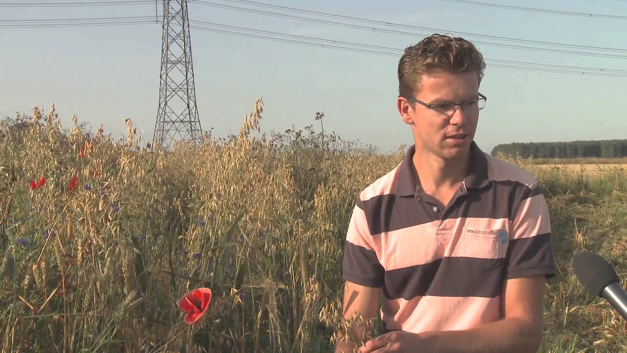 Groninger boeren zetten zich in voor de natuur en akkervogels