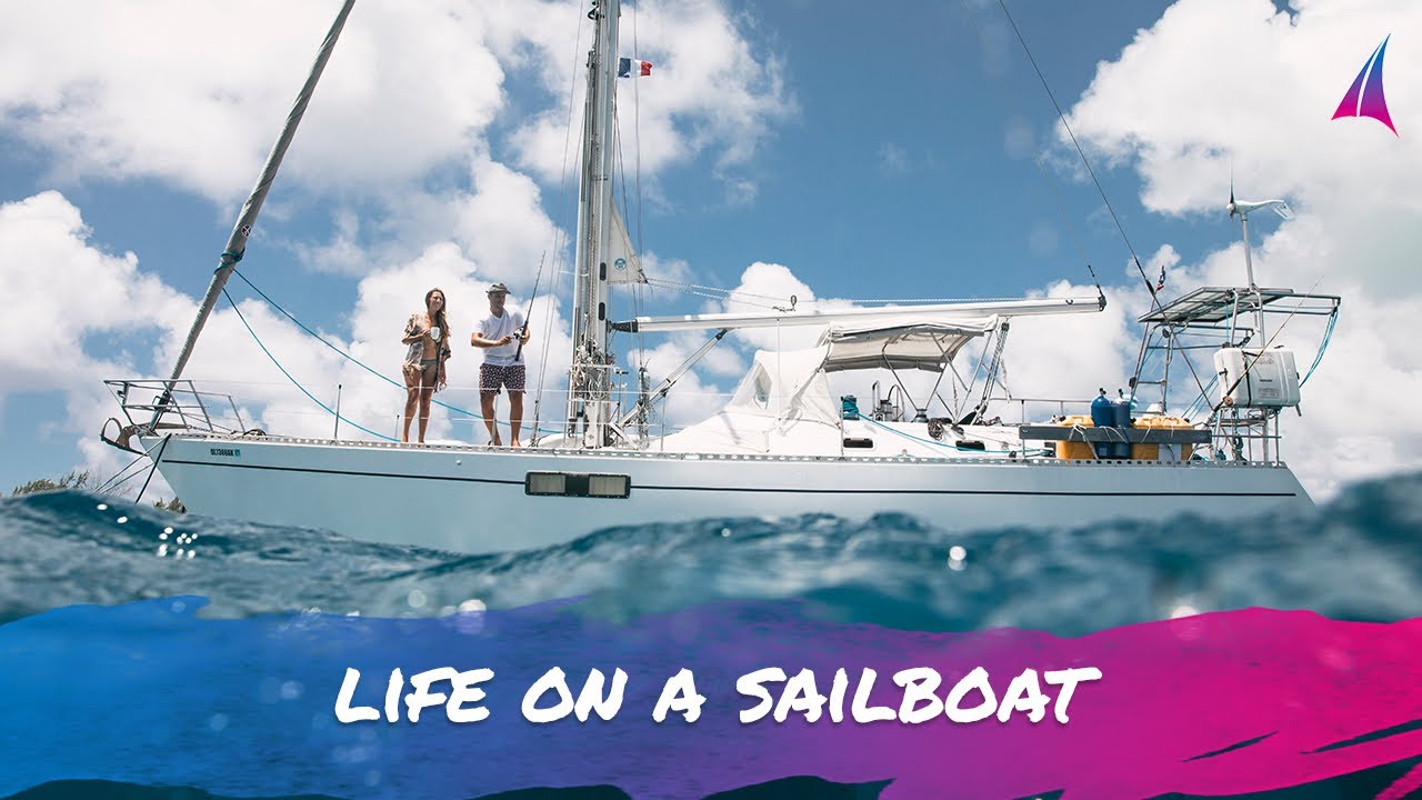 Sharks everywhere! (Hundreds) (living on a SAILBOAT)  - Unforgettable Sailing - Ep. 133