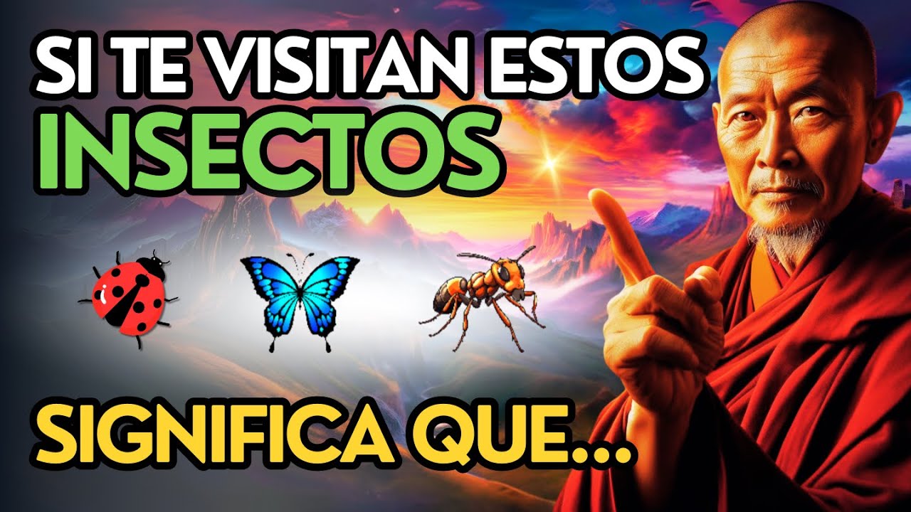 &iquest;Sab&iacute;as que los INSECTOS que APARECEN en Tu CASA Tienen Significado?  Sabidur&iacute;a ZEN