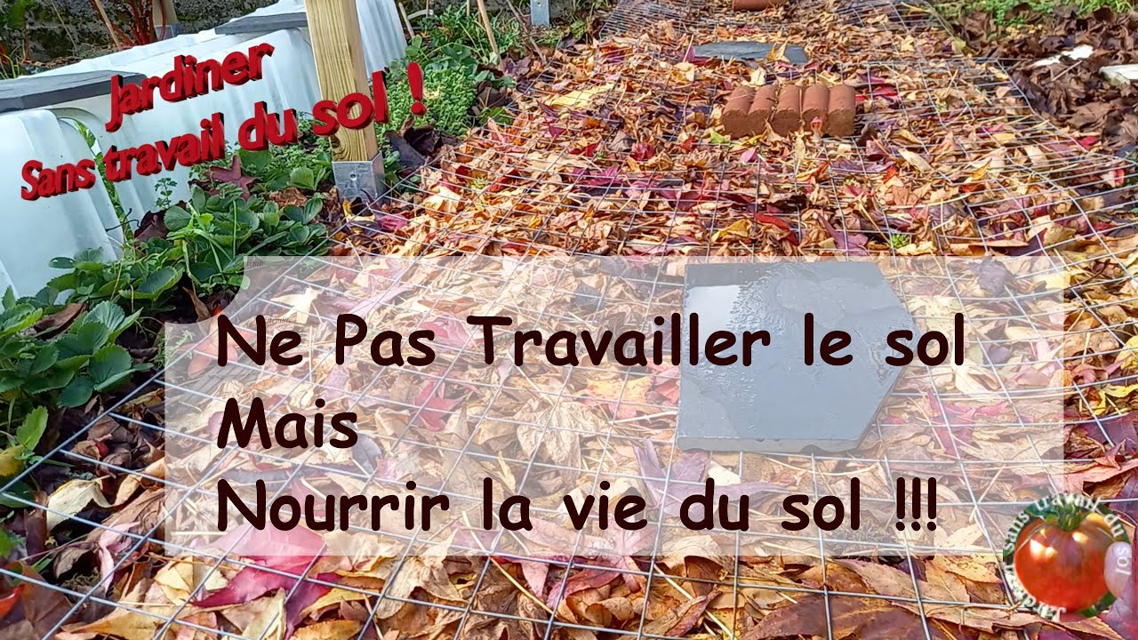 Ne pas Travailler le Sol mais Nourrir la Vie du Sol