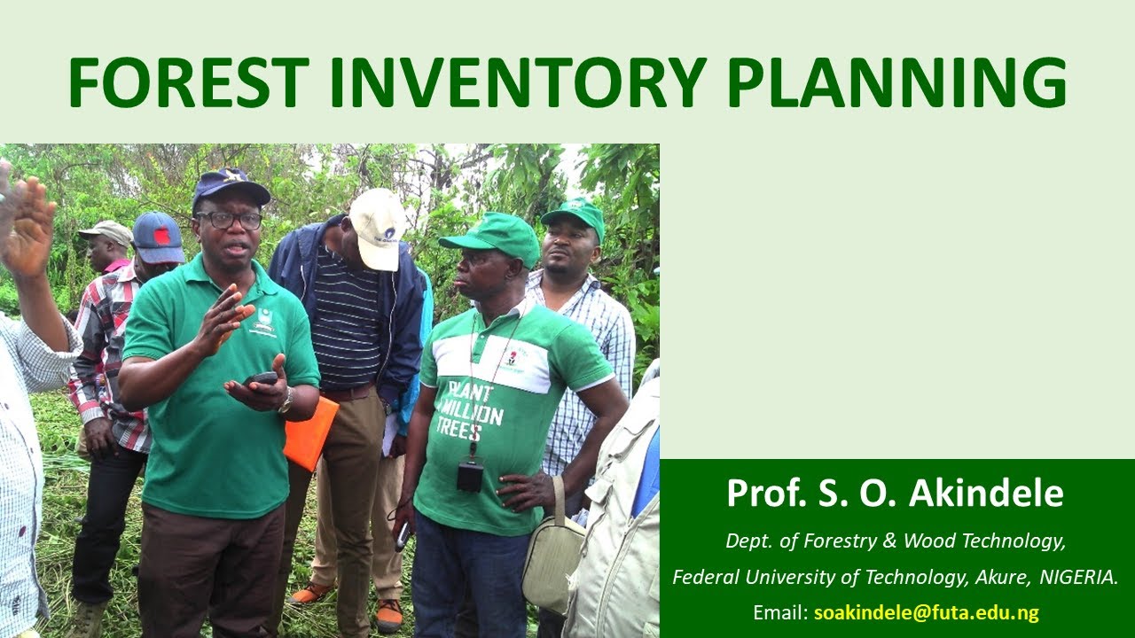 Forest Inventory Planning